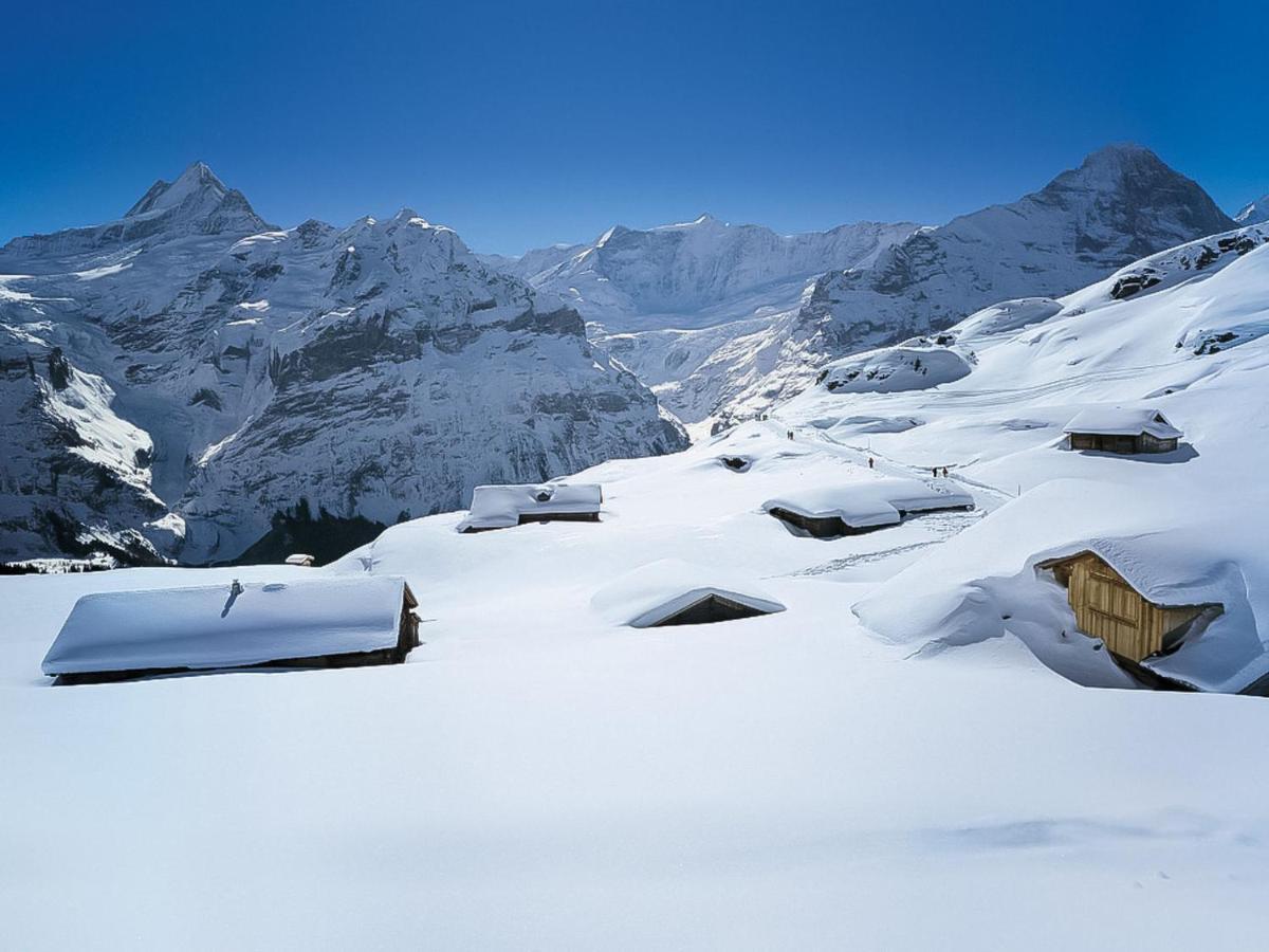 Apartment Chalet Almisraeba By Interhome Grindelwald Esterno foto